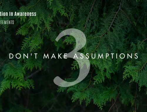 The Third Agreement: Don’t Make Assumptions