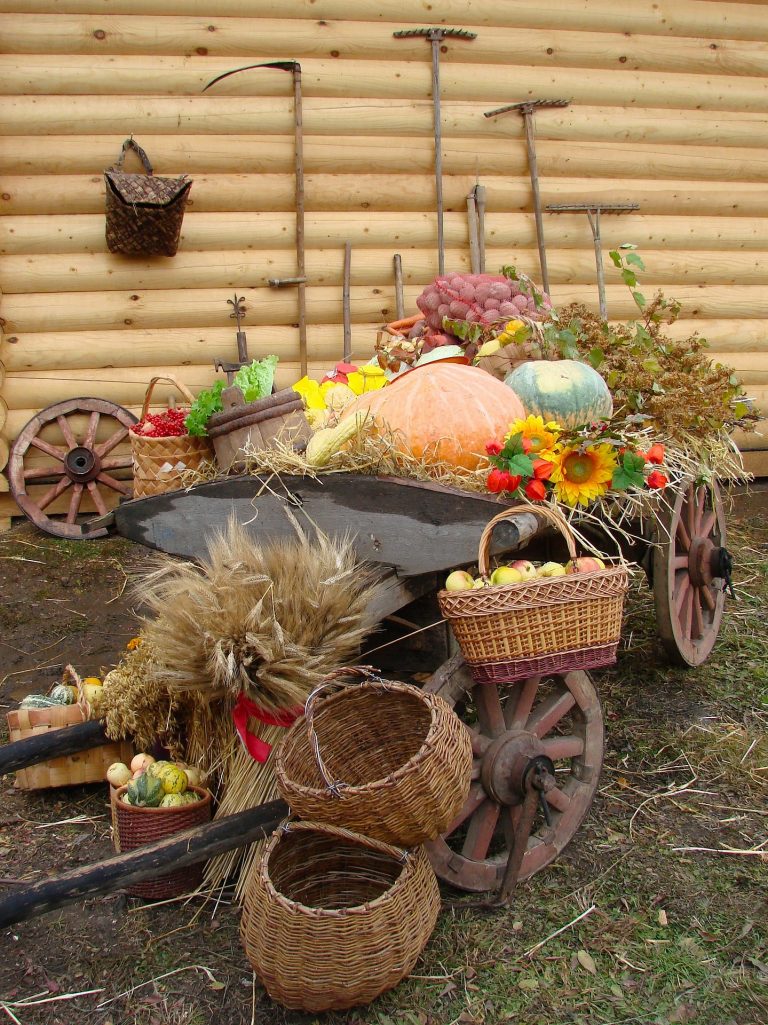 kitchen-window-how-to-upset-the-apple-cart-deliciously-npr