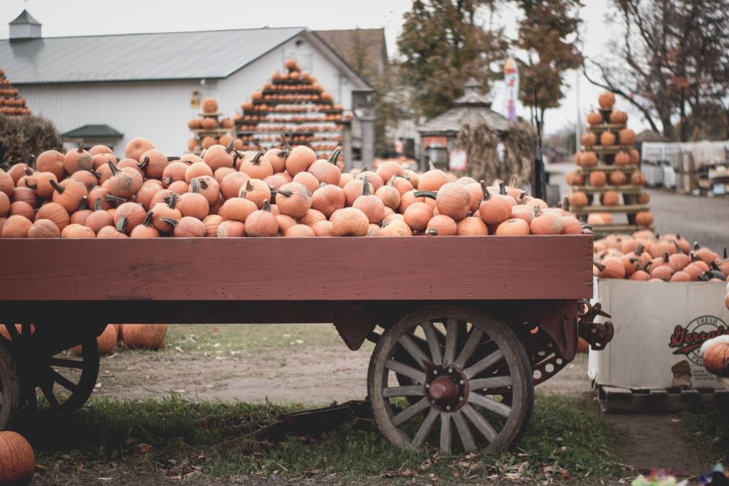 phrase-of-the-day-upset-the-apple-cart-10may23-editorial-words